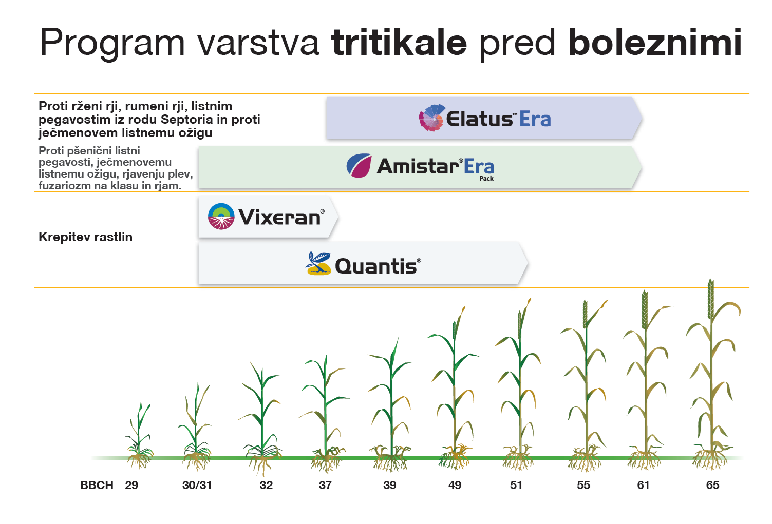 Program varstva tritikale pred boleznimi 2025