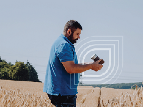 Hyvido v primerjavi s konvencionalnimi sortami | Syngenta | Slovenija