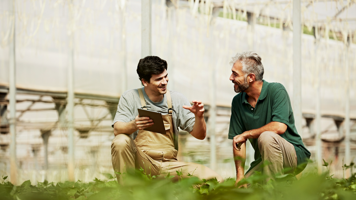 Partnerstvo se začne s semenom | syngenta | Slovenija