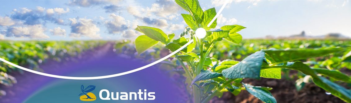 Pomaga ohraniti pridelek in njegovo kakovost v stresnih razmerah ter podpira aktivnost rastlin v normalnih okolišcinah.
