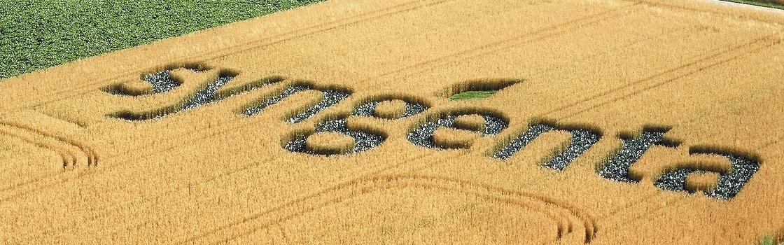 Vsaka lokacija ima svoj značaj. In noben letni čas ni enak. Natančna napoved regionalnega vremena je za vas prav tako pomembna kot zgodnje odkrivanje bolezni in škodljivcev. Syngenta vam pomaga, če imate kakršna koli vprašanja – od semena do žetve.