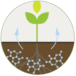 Ustrezen biostimulator lahko okrepi prehranjenost rastlin bodisi z okrepljeno absorbcijo hranil iz tal bodisi s fiksacijo (npr. dušika) iz zraka.