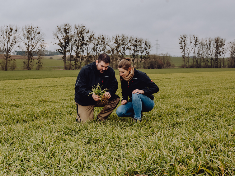 Da bi v čim večji meri izkoristili potencial pridelka in pozitivne agronomske lastnosti, ki jih prinaša hibridni ječmen Hyvido,  je priporočljivo slediti priporočeni tehnologiji pridelave. Prvi ukrep, ki je pred nami, je čim zgodnejše dognojevanje z dušikom, da zagotovimo dober spomladanski start in razvoj večjega števila stranskih poganjkov.