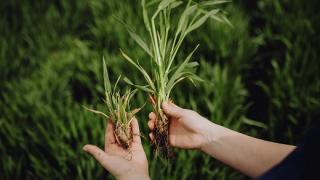 Je več kot le dohodek... Hyvido ima prednosti že na prvi pogled