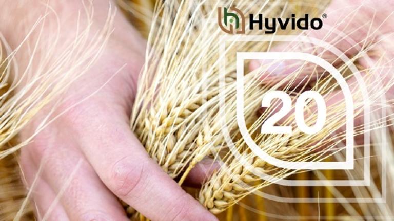 Hyvido se še naprej razvija