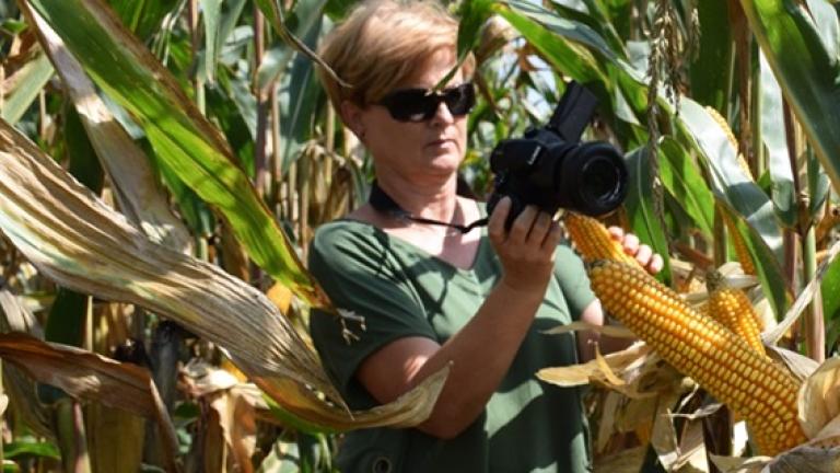 Osnovni izzivi, na katere v družbi Syngenta nenehno iščemo najusteznejše odgovore, so izzivi, ki jih morate Vi premagovati pri svojem vsakdanjem delu.