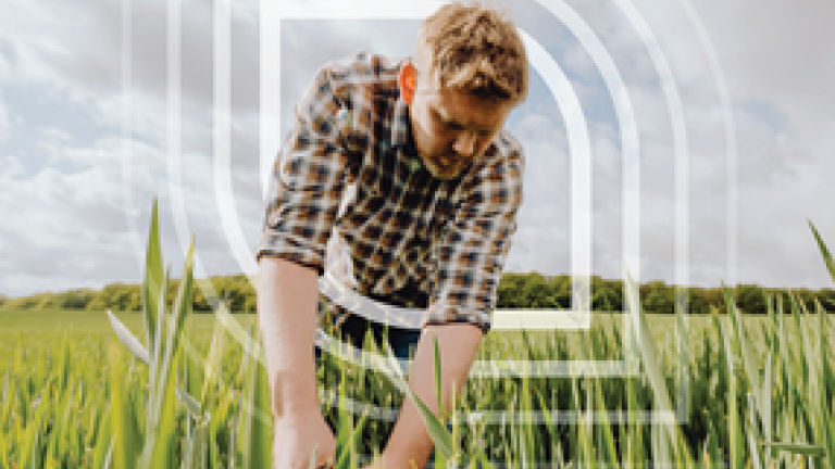 HYVIDO je krovna blagovna znamka Syngentinega hibridnega ječmena, ki združuje izjemno pozitivne agronomske lastnosti rastlin za zdrave in visoke pridelke v vseh pridelovalnih razmerah.