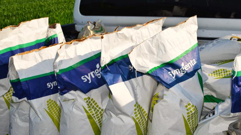 Syngenta hibridi prinašajo širok spekter agronomskih in tehnoloških lastnosti, ki so danes ključne za uspešno pridelavo, saj zagotavljajo potrebno prilagodljivost za doseganje zanesljivih rezultatov v spremenljivih razmerah. Naša ponudba Vam omogoča izbor optimalnega hibrida glede na specifične zahteve pridelave, pedoklimatske razmere in namen uporabe. 