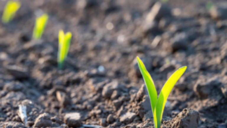 Biostimulanti iz naše ponudbe so popolnoma kompatibilni z našimi herbicidi za koruzo in pomagajo posevku prebroditi najtežje razmere.