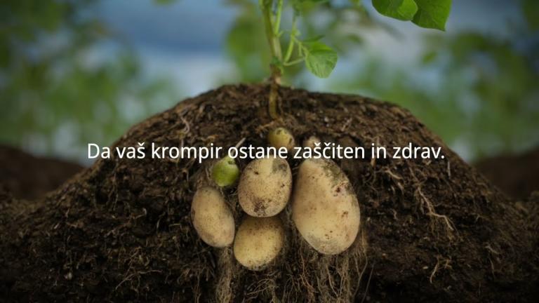 Revus, da vaš krompir ostane zaščiten in zdrav.