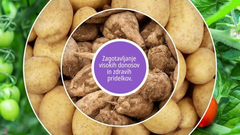 AFINTO: ciljno delovanje proti sesajočim škodljivcem.