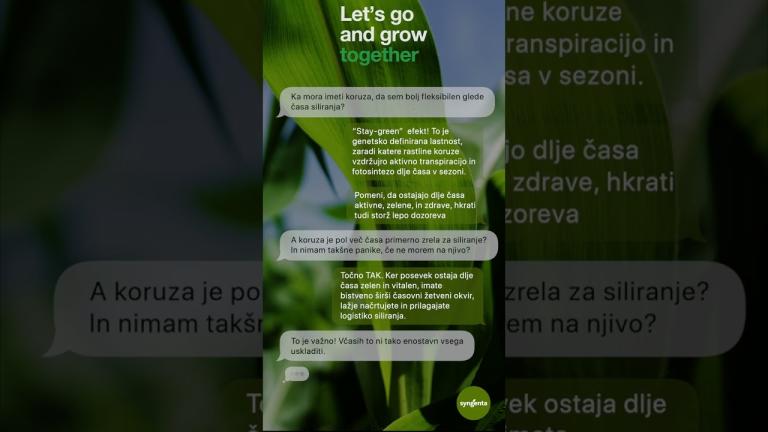 Ali tvoj hibrid ima Stay Green? #Shorts
