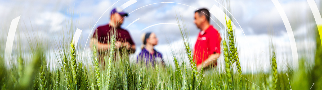 Syngentin strokovnjak na terenu | Syngenta | Slovenija