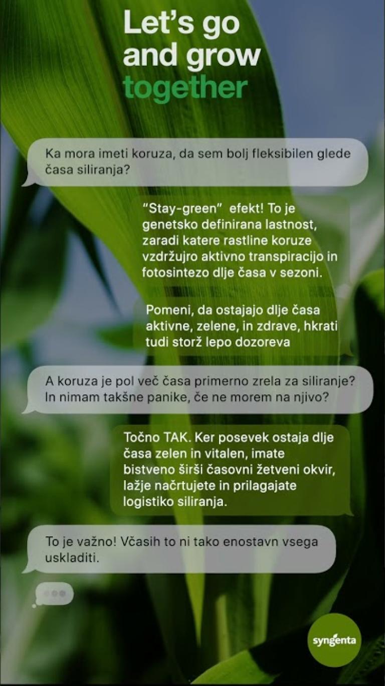 Ali tvoj hibrid ima Stay Green?📌 Kaj to pomeni?