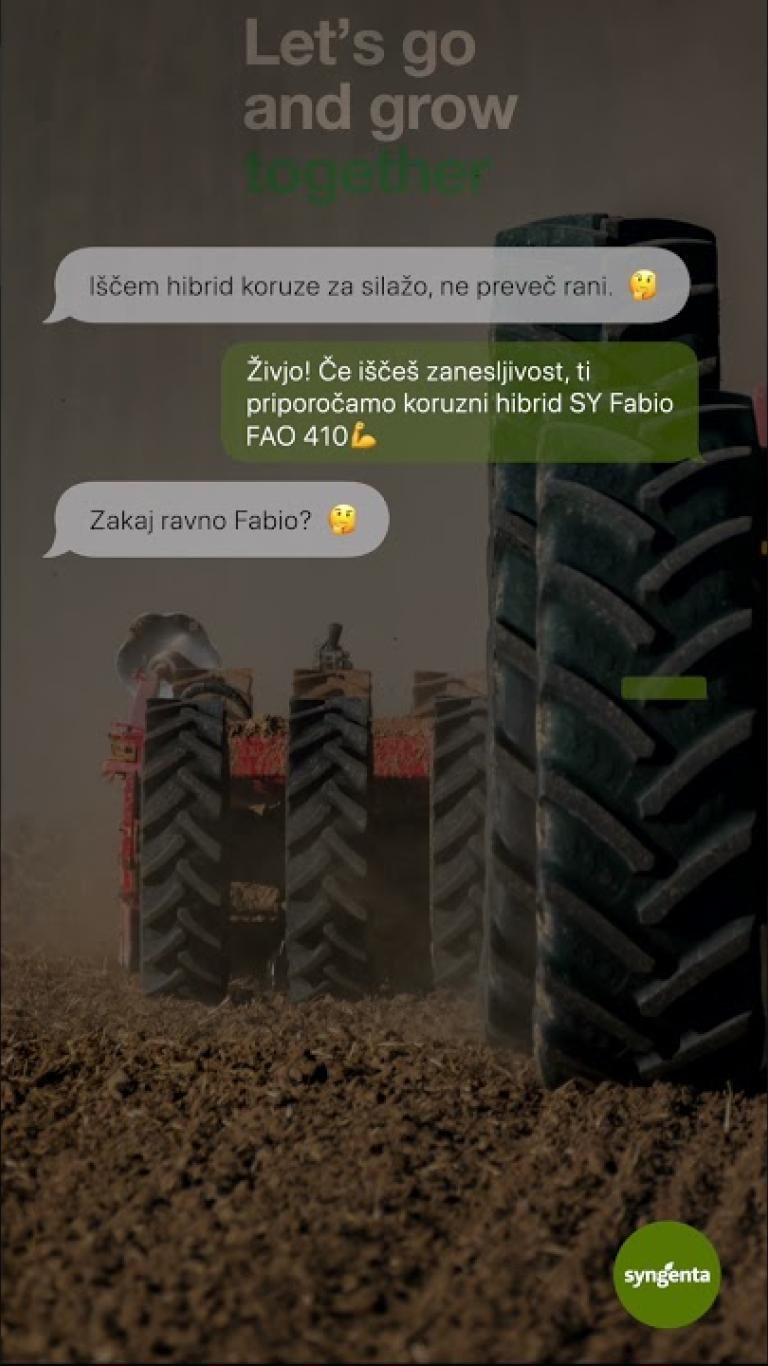 Stabilen pridelek ? Poskusi SY Fabio