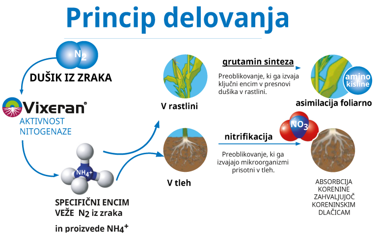 Princip delovanja pripravka Vixeran