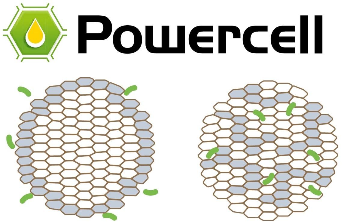 Pri Syngentinih sortah Powercell&nbsp; je izjemna prebavljivost celične stene genetsko določena. 