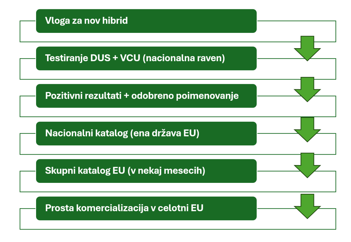 Potek registracije hibrida