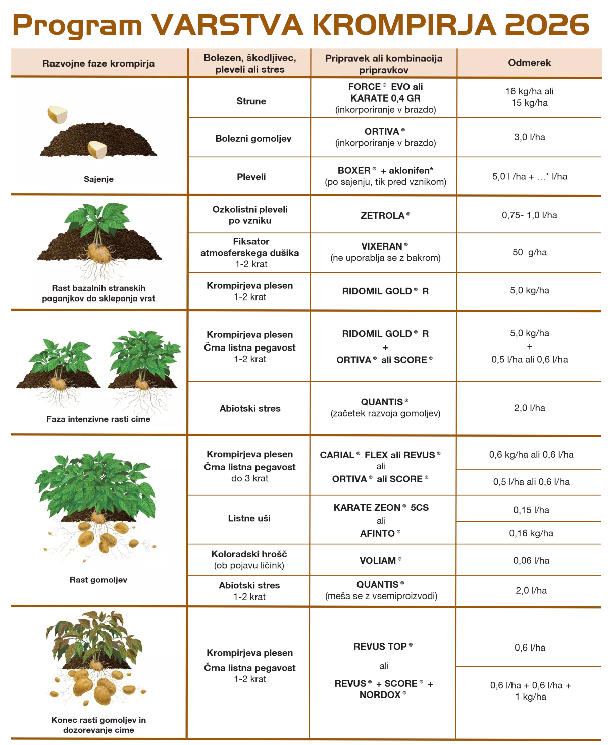 Program varstva krompirja