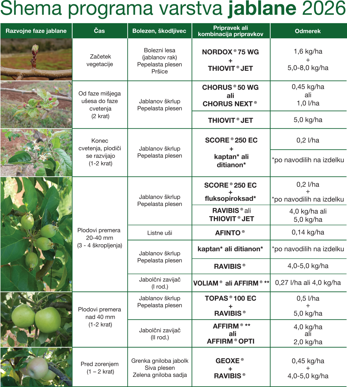Program varstva jablane