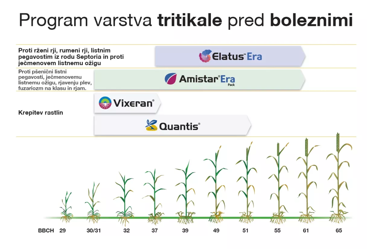 Program varstva tritikale pred boleznimi