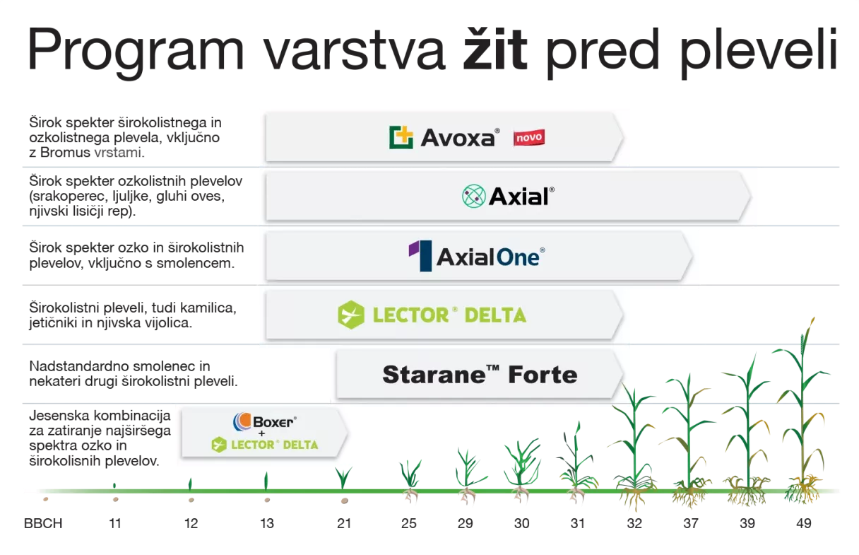 Program varstva žita pred pleveli