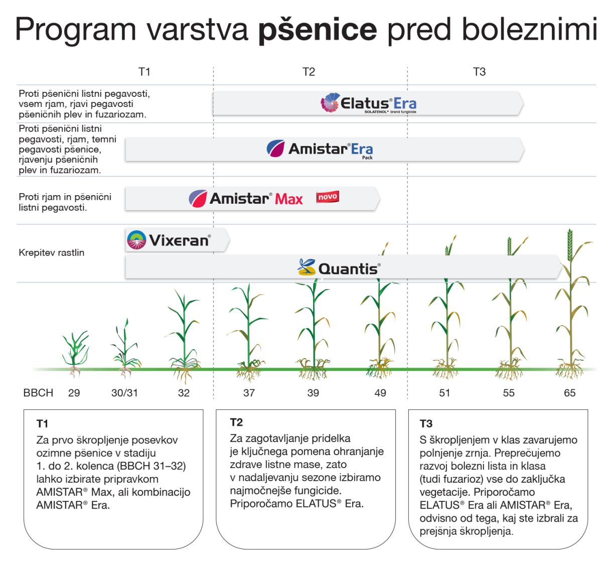 Shematski program varstva pšenice pred boleznimi
